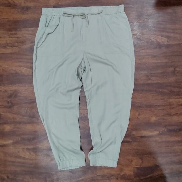 Banana Republic Green Place Holder Relaxed Lyocell Jogger Pants Plus Size 20 - Picture 3 of 12